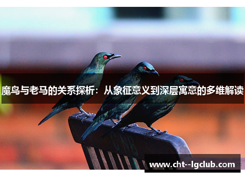 魔鸟与老马的关系探析：从象征意义到深层寓意的多维解读